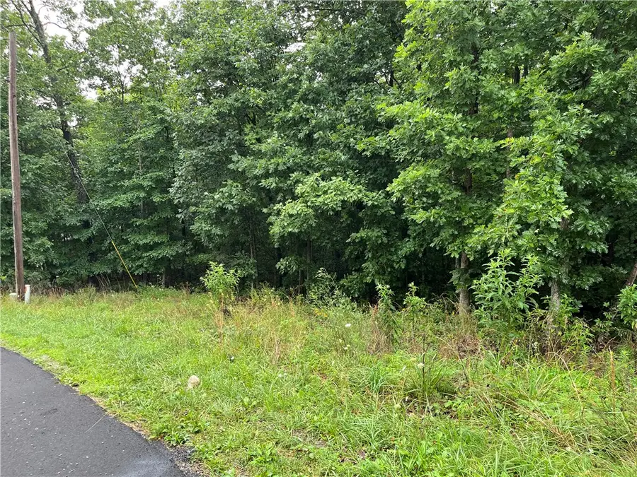 Lot 28, Block 2 N Moors Lane, Bella Vista, AR 72714 - #2