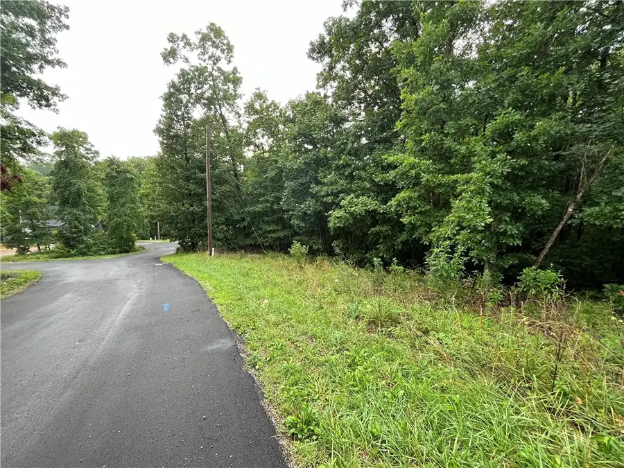 Lot 28, Block 2 N Moors Lane, Bella Vista, AR 72714 - #3