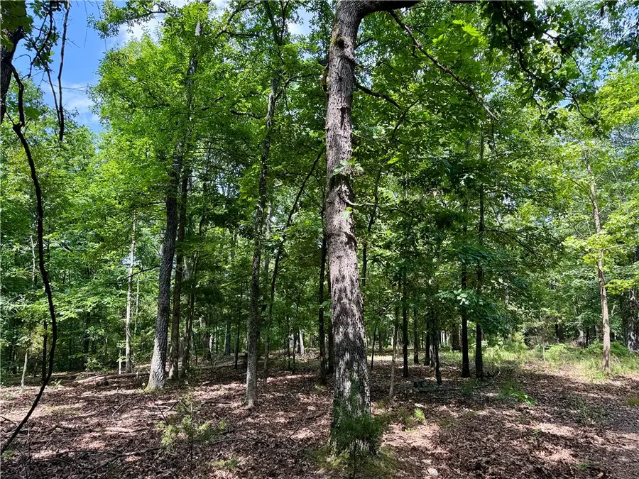 24550 Capps Ranches Road, Rogers, AR 72756 - #3