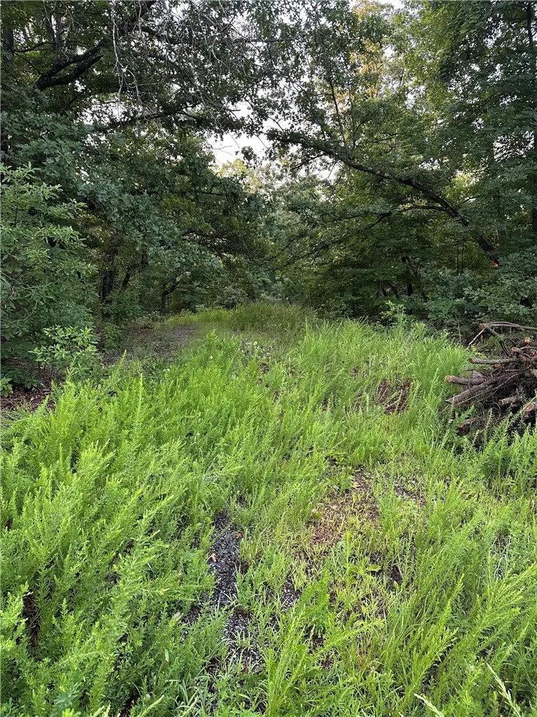 TBD Denver Lane, Bella Vista, AR 72714 - #1
