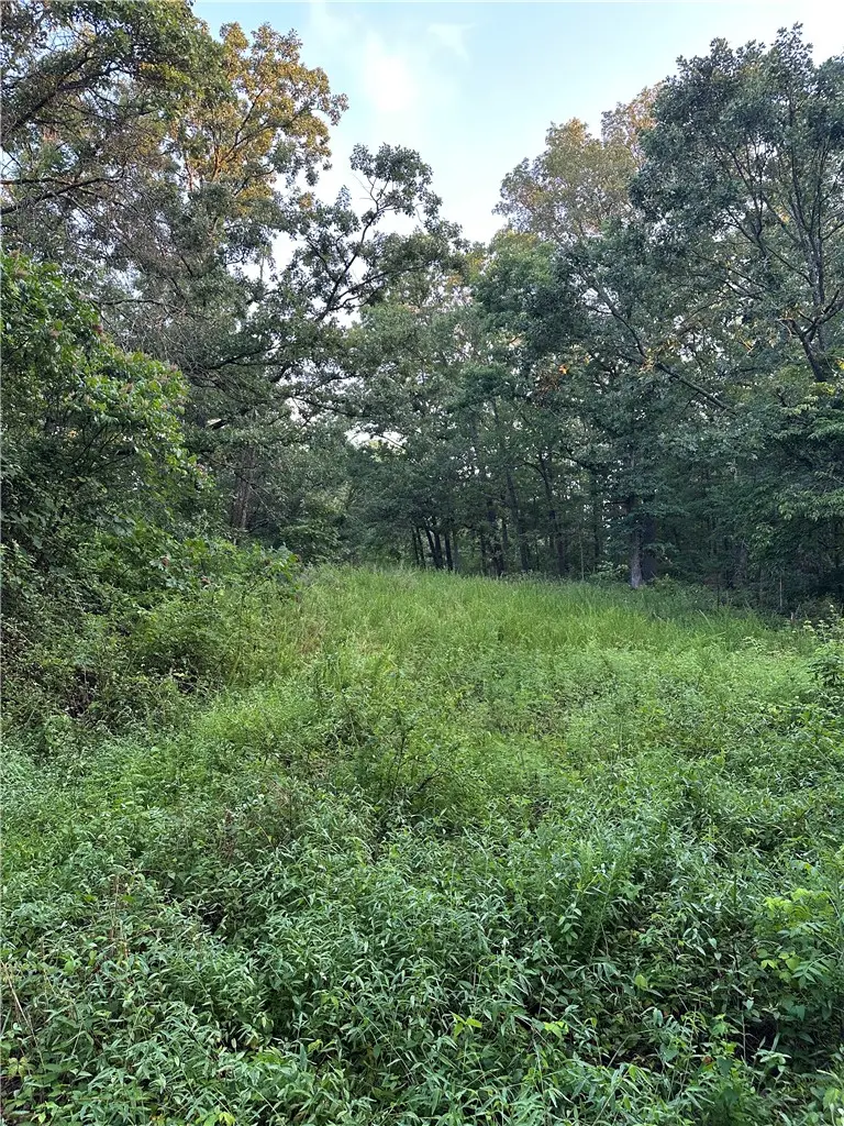 TBD Denver Lane, Bella Vista, AR 72714 - #2
