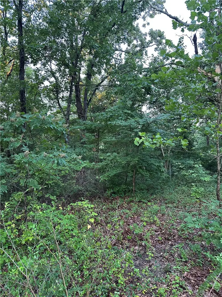 TBD Denver Lane, Bella Vista, AR 72714 - #3