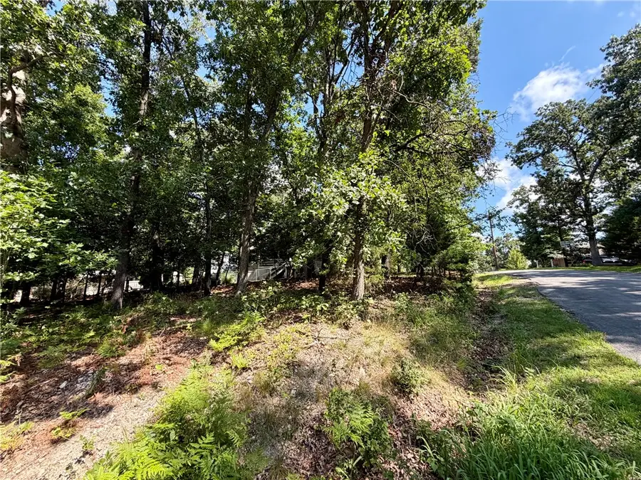 TBD Johnson Lane, Bella Vista, AR 72715 - #2