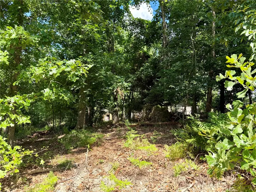 TBD Johnson Lane, Bella Vista, AR 72715 - #3