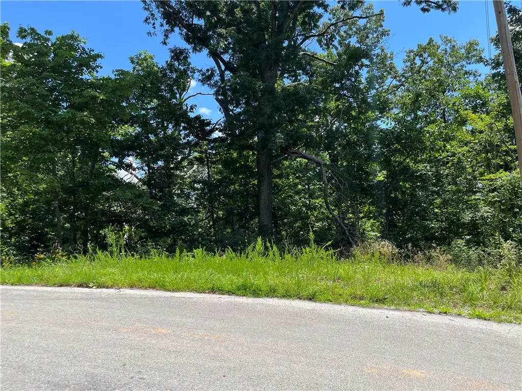 Lot 13, Block 1 Halford Lane, Bella Vista, AR 72715 - #1