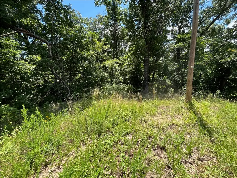 Lot 13, Block 1 Halford Lane, Bella Vista, AR 72715 - #2