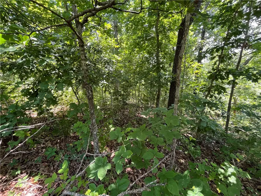 Lot 13, Block 1 Halford Lane, Bella Vista, AR 72715 - #3
