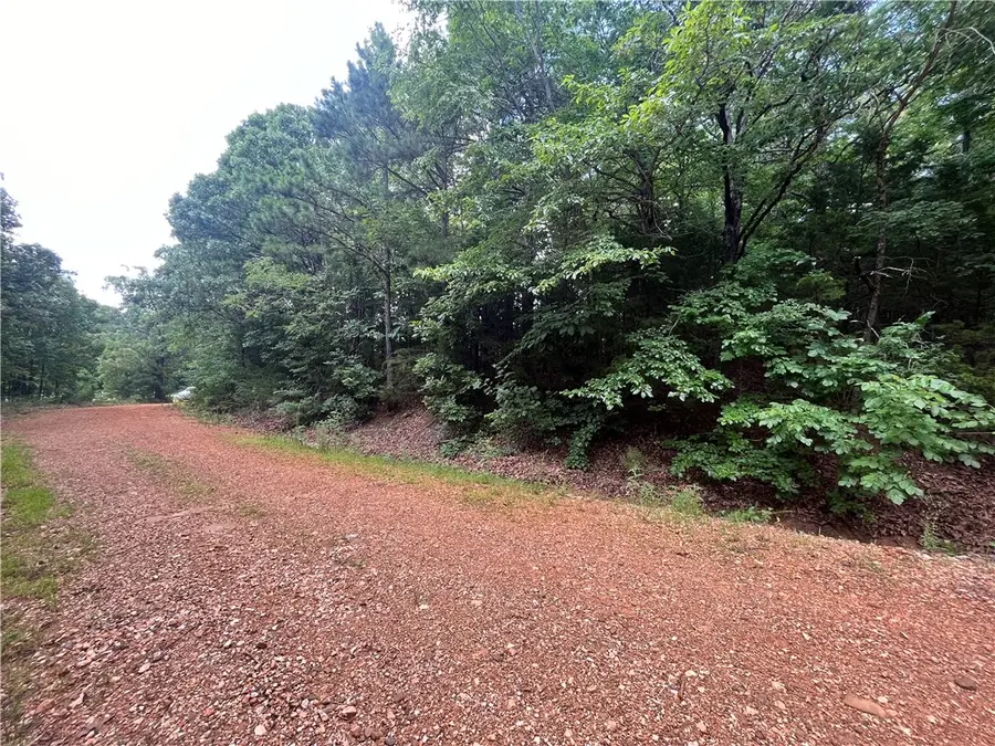 00 Nc 4810, Mount Judea, AR 72655 - #3