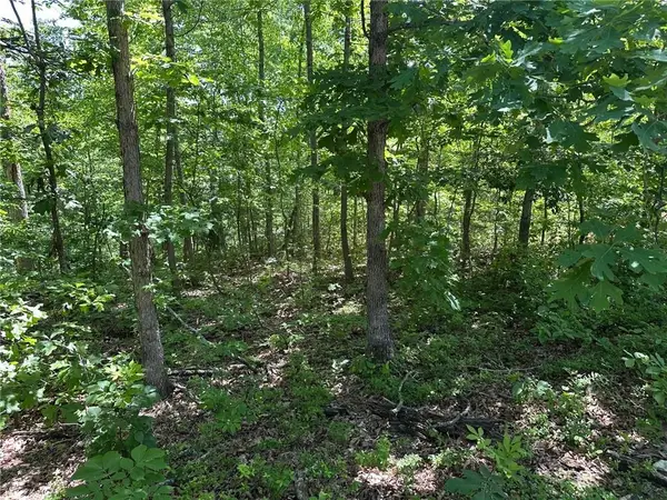 Bonnyrigg Lane, Bella Vista, AR 72715