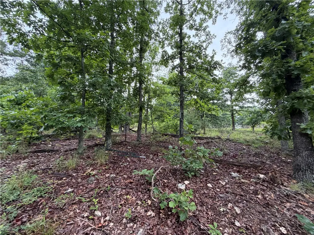 OFF OF Morgan Cave Road, Harrison, AR 72601 - #1