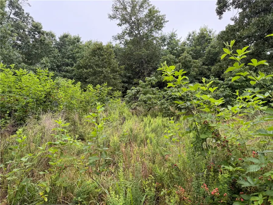 OFF OF Morgan Cave Road, Harrison, AR 72601 - #2