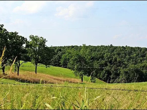 3673 Grassy Gap Road, Harrison, AR 72601