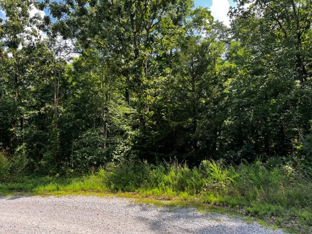 Lot 13 Collins Lane, Bella Vista, AR 72714 - #1