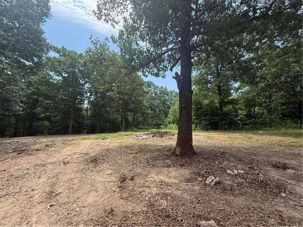 15435 Realtree Road, Gravette, AR 72736 - #1