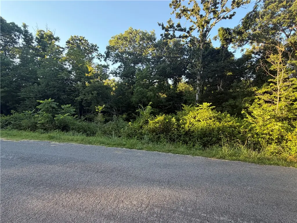 Larkhall Lane, Bella Vista, AR 72715 - #1