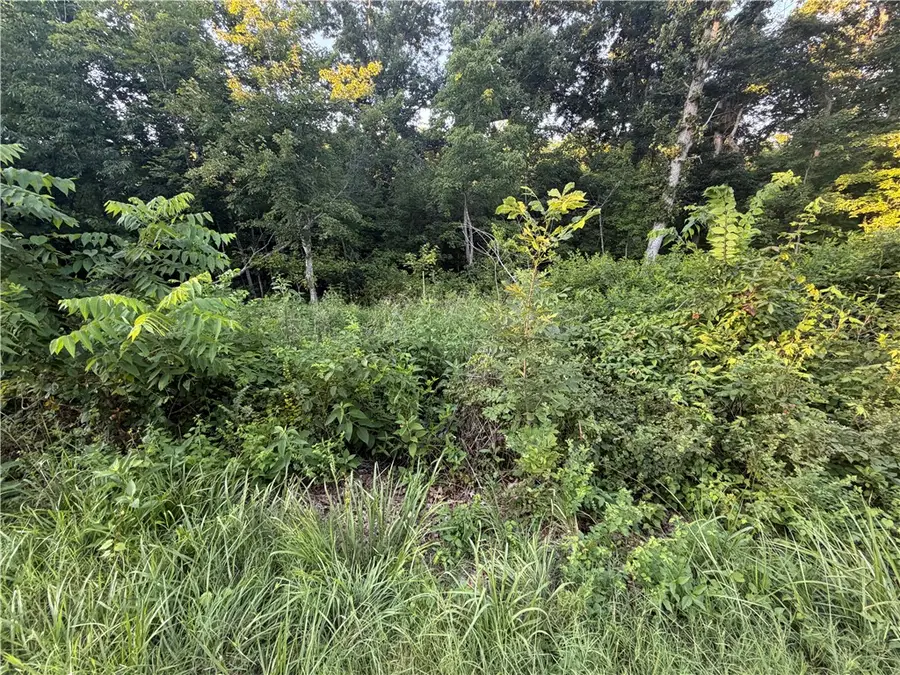 Larkhall Lane, Bella Vista, AR 72715 - #2
