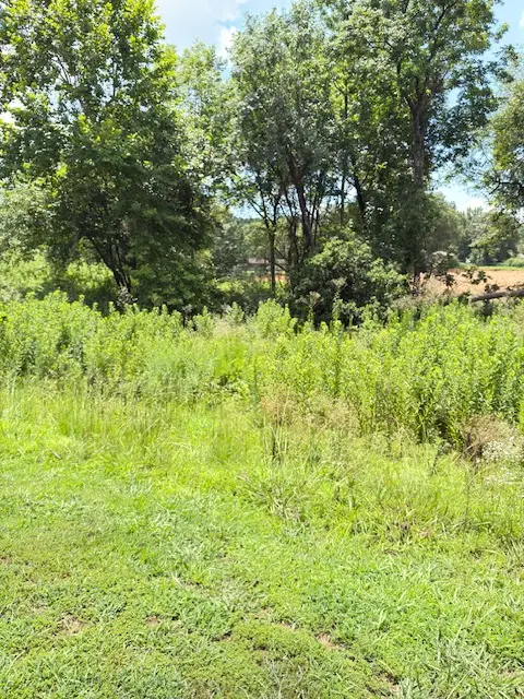 Sequoyah Way, Russellville, AR 72801 - #1