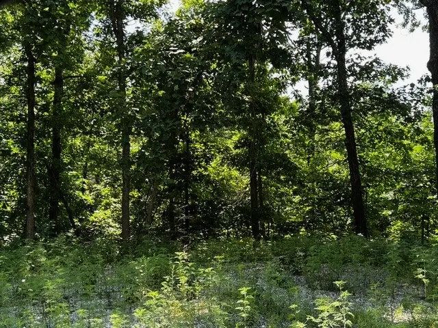 Lot 6 Southborough Lane, Bella Vista, AR 72714 - #1