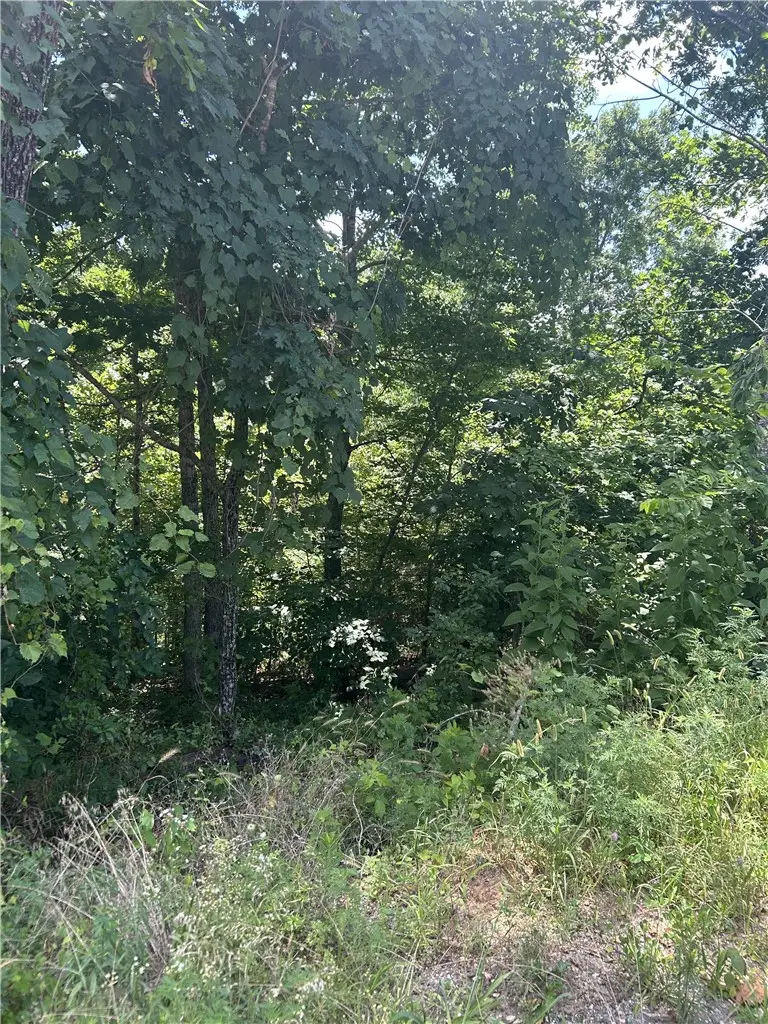 Dunvegan Lane, Bella Vista, AR 72715 - #1