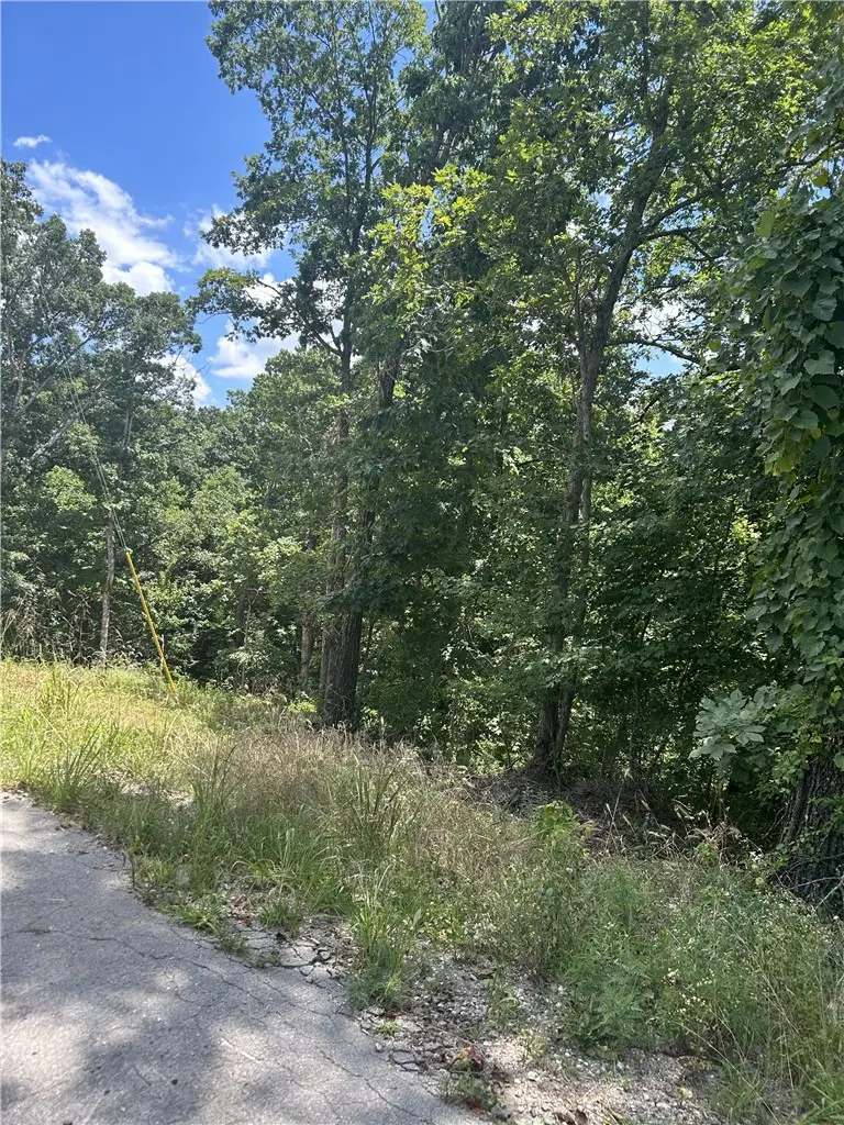Dunvegan Lane, Bella Vista, AR 72715 - #2