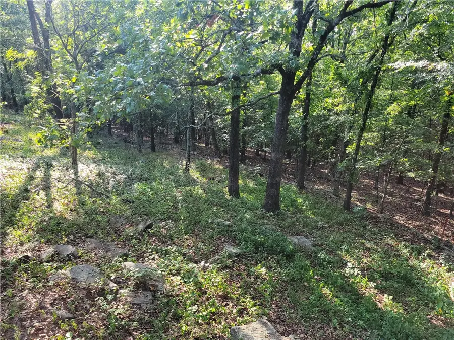 205 Apple, Russellville, AR 72802 - #2
