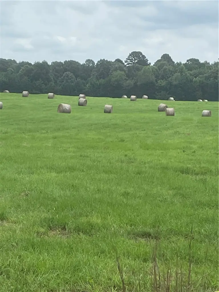 40 acres vacant land County Road 3411, Clarksville, AR 72830 - #1