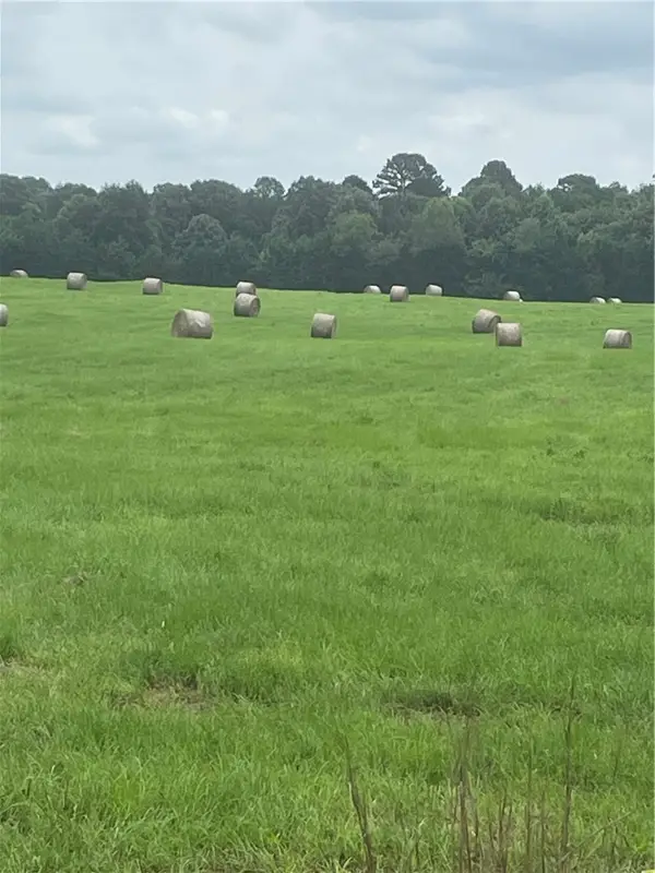 40 acres vacant land County Road 3411, Clarksville, AR 72830