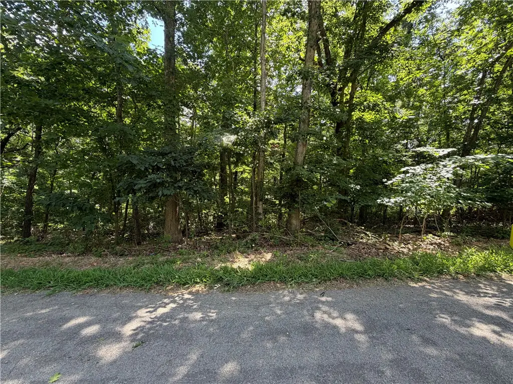 Ventnor Drive, Bella Vista, AR 72715 - #1