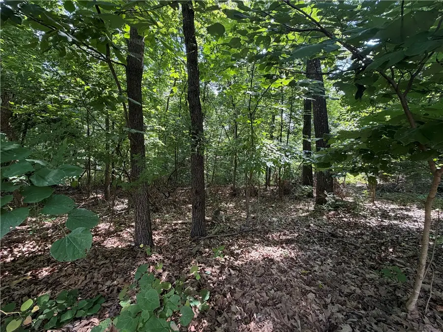 Ventnor Drive, Bella Vista, AR 72715 - #3