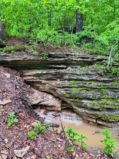 583 County Road 6561, Berryville, AR 72616 - #1