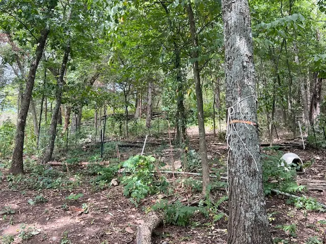 583 County Road 6561, Berryville, AR 72616 - #3