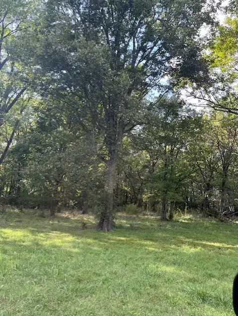 1498 Viney Grove Road, Prairie Grove, AR 72753 - #3