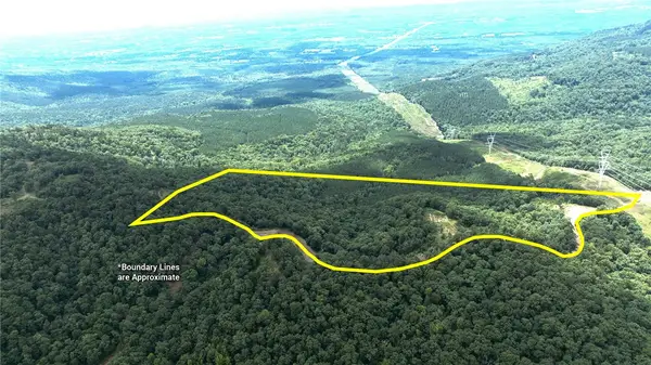 Tater Mountain West, Dardanelle, AR 72834