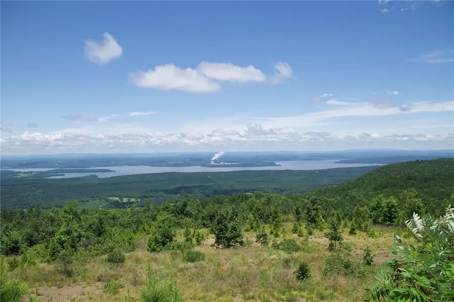 Tater Mountain North, Dardanelle, AR 72834 - #3