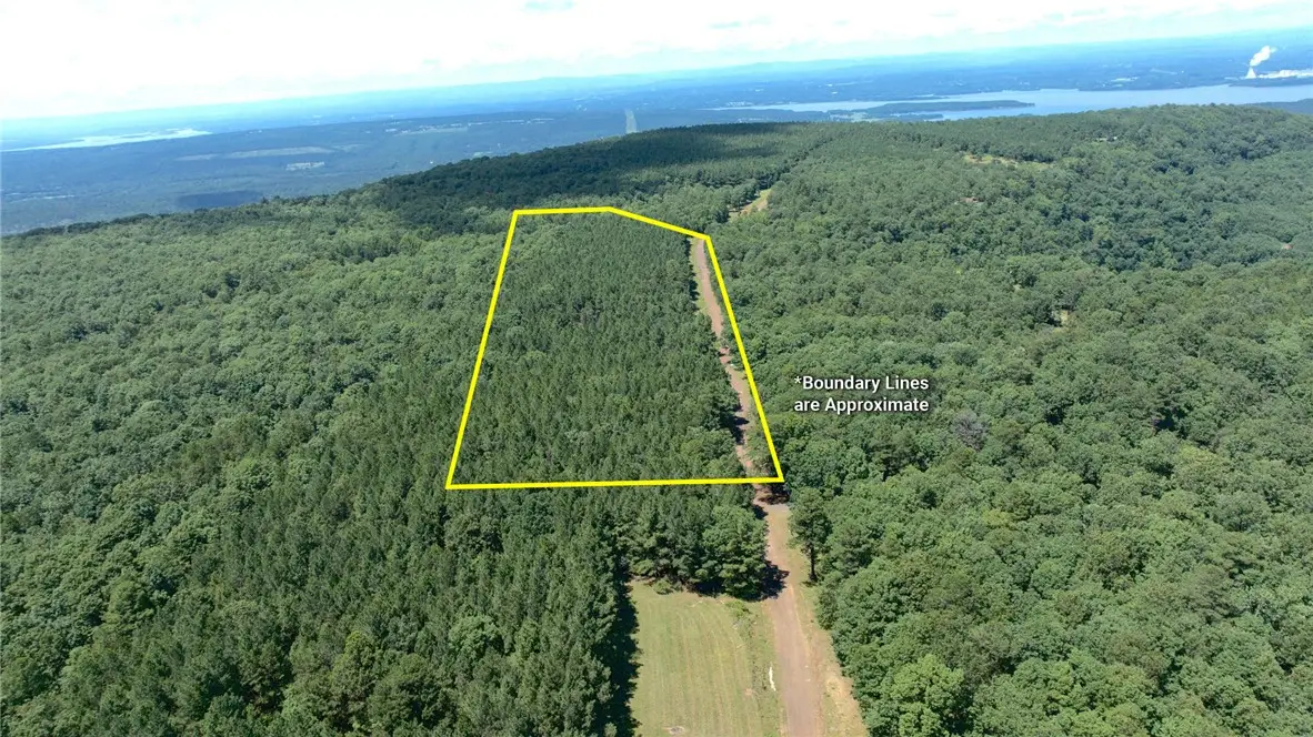 Spring Mountain Airstrip, Dardanelle, AR 72834 - #1