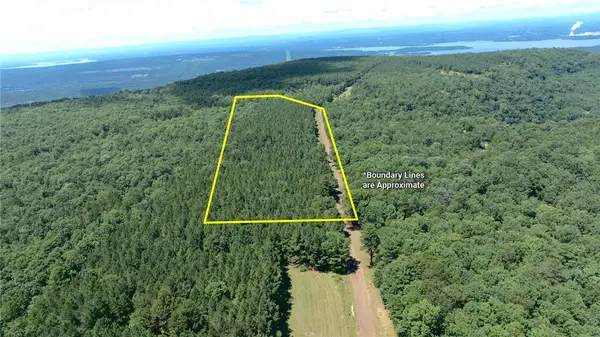 Spring Mountain Airstrip, Dardanelle, AR 72834