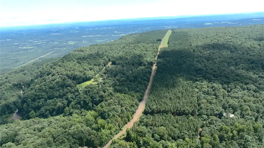 Spring Mountain Airstrip, Dardanelle, AR 72834 - #2