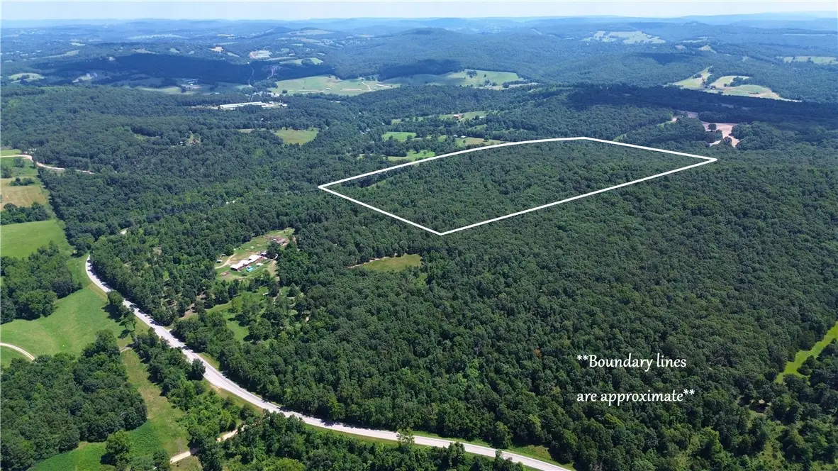78 Acres Hwy 21, Berryville, AR 72616 - #1