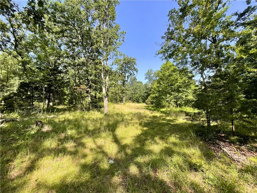 78 Acres Hwy 21, Berryville, AR 72616 - #2