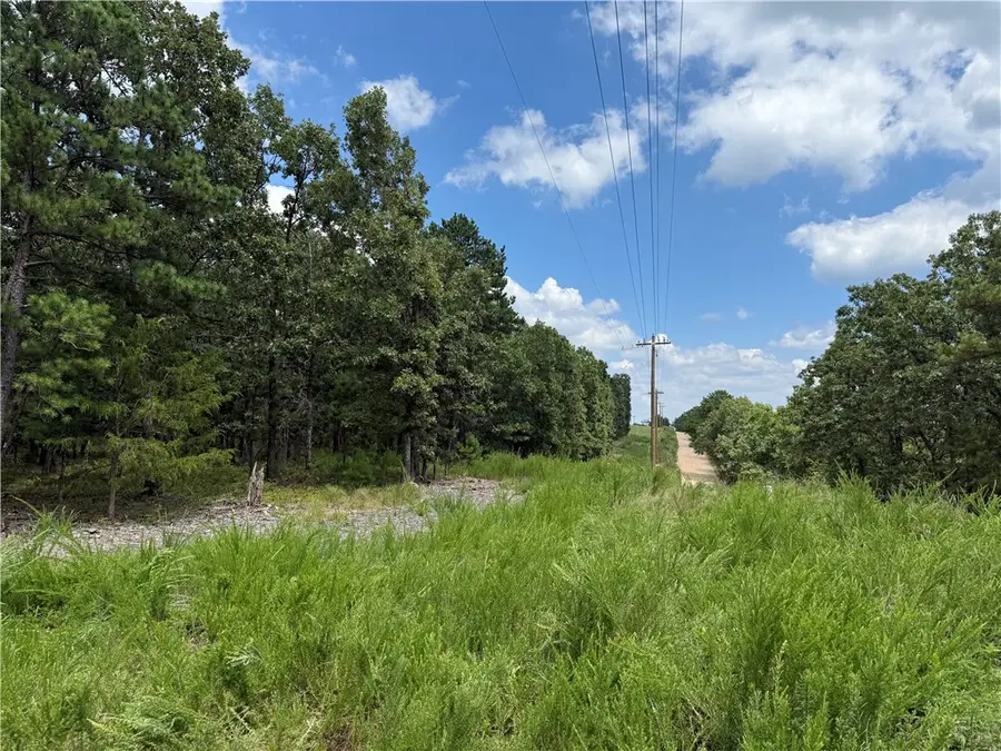 TBD County Road 315, Western Township, AR 72682 - #2
