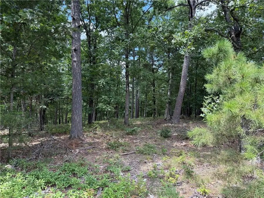 TBD County Road 315, Western Township, AR 72682 - #3