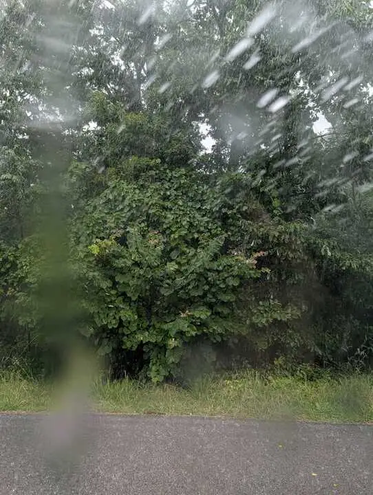 Duns Lane, Bella Vista, AR 72715 - #1