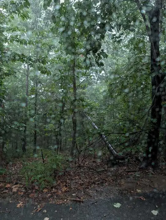 Duns Lane, Bella Vista, AR 72715 - #3