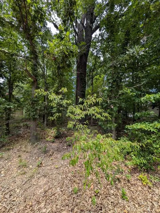 Kirkcolm Lane, Bella Vista, AR 72715 - #1