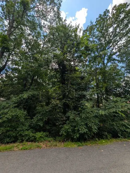Kirkcolm Lane, Bella Vista, AR 72715 - #2