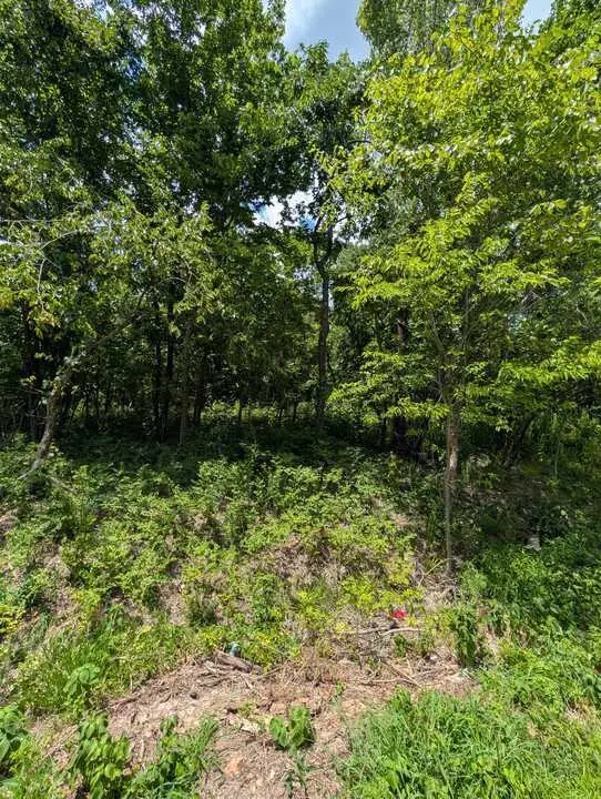 Kirkcolm Lane, Bella Vista, AR 72715 - #3