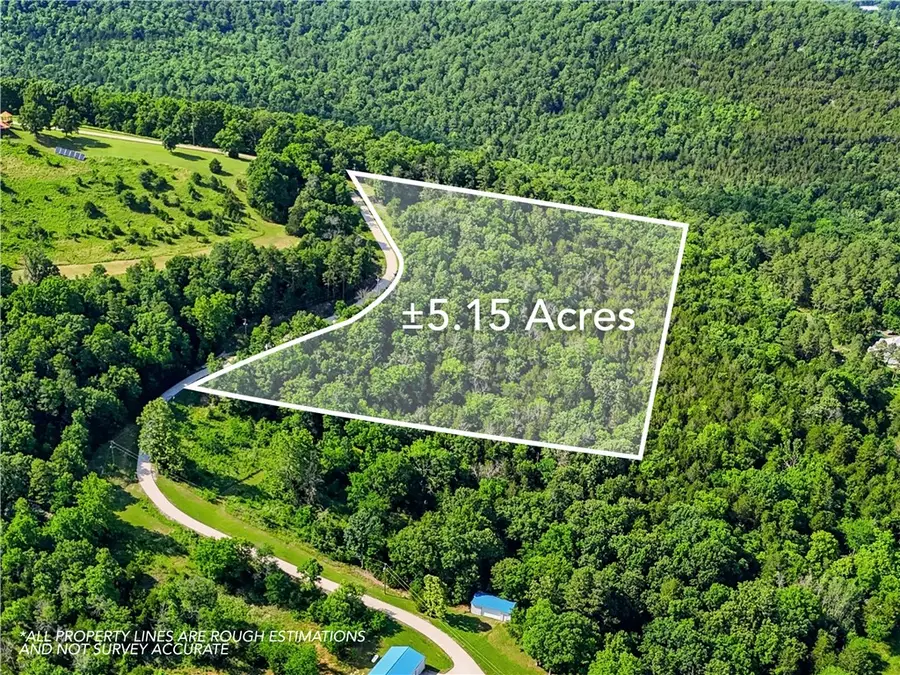381 Madison 1556, Eureka Springs, AR 72632 - #3