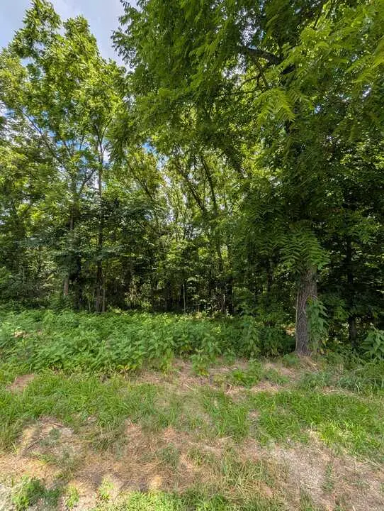 Granshire Circle, Bella Vista, AR 72714 - #2