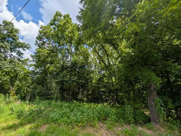 Granshire Circle, Bella Vista, AR 72714 - #3