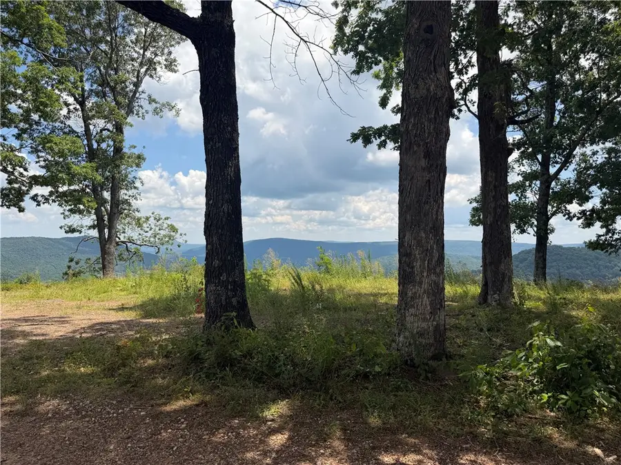 87 Nc 6829, Jasper, AR 72641 - #2